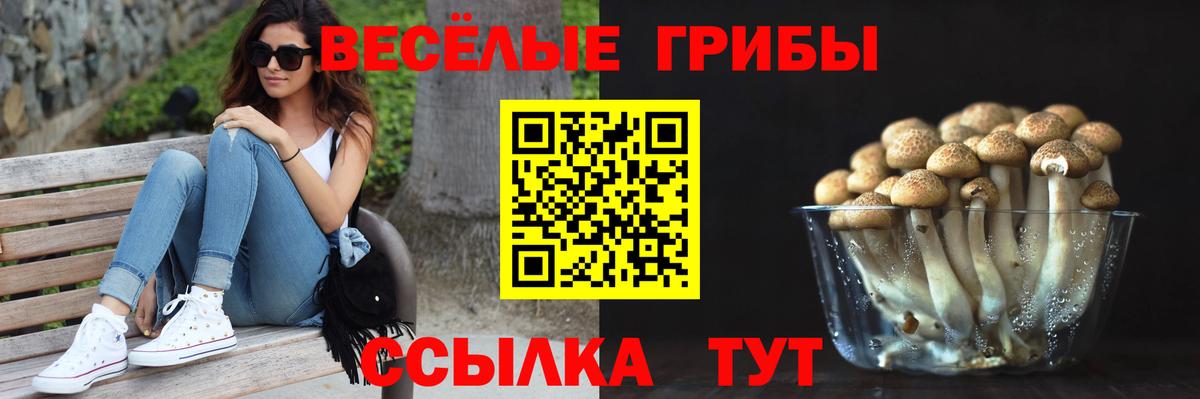 Галлюциногенные грибы прущие грибы Нягань
