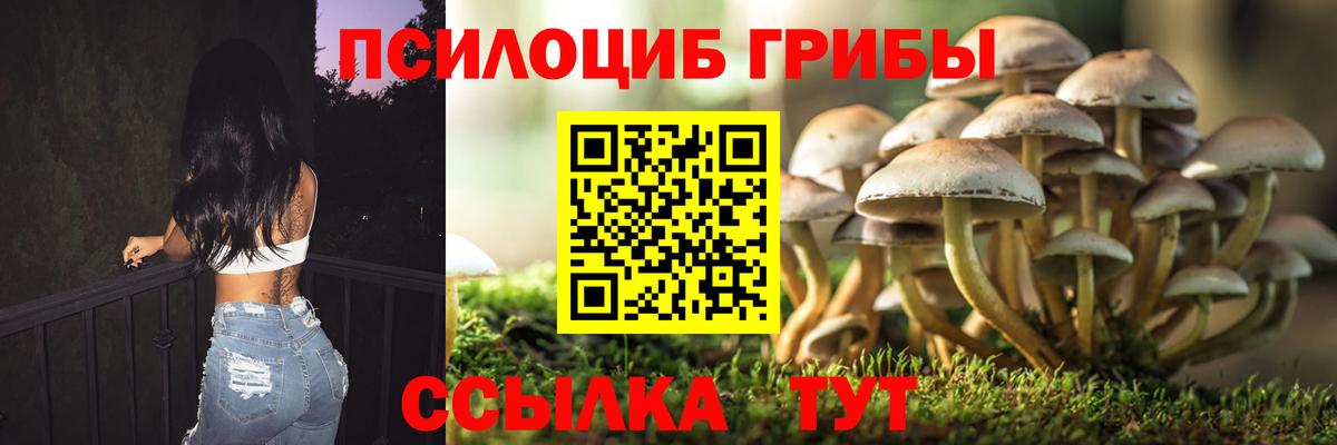 Нягань  Псилоцибиновые грибы мицелий  Вход с VPN 